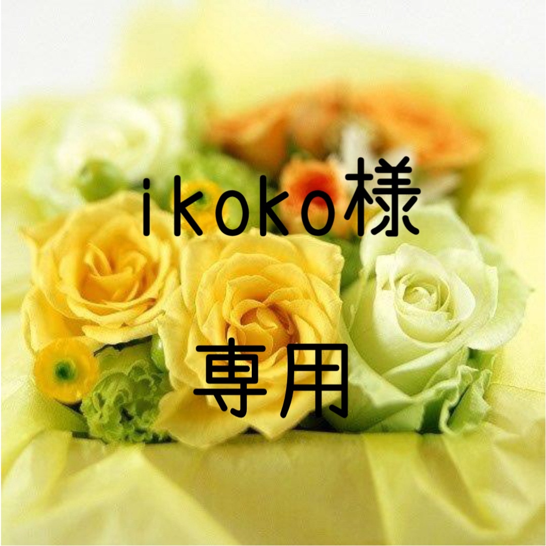 ikoko お米 令和5年　愛媛県産ヒノヒカリ　白米　30㎏