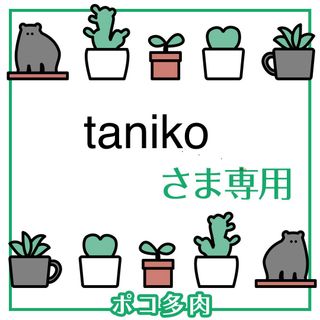 tanikoさま専用　ポコ多肉植物おまとめ韓国苗販売会(その他)