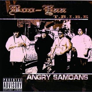 ブー・ヤー・トライブ　Angry Samoans　輸入盤CD(ポップス/ロック(洋楽))