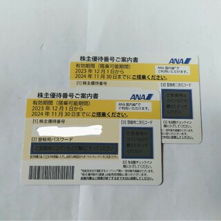 ANA株主優待券2枚【最新】2024.11.30(その他)