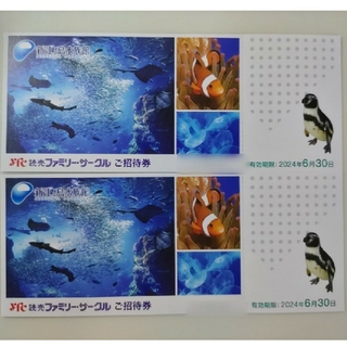 新江ノ島水族館　入場招待券　2枚（大人・小人共通）2024年6月30日迄(水族館)