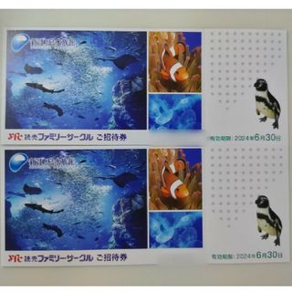 新江ノ島水族館　入場招待券　2枚（大人・小人共通）2024年6月30日迄