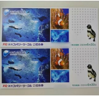 新江ノ島水族館　入場招待券　2枚（大人・小人共通）2024年6月30日迄(水族館)