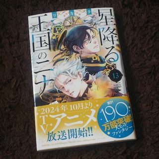 コウダンシャ(講談社)の星降る王国のニナ 13  リカチ(女性漫画)