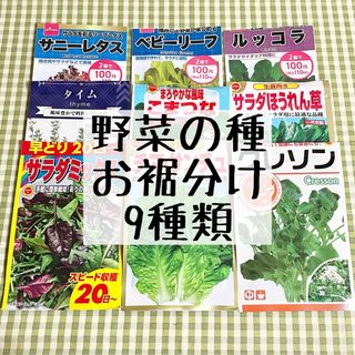 野菜の種 お裾分け 9種類 各20粒＋α(野菜)