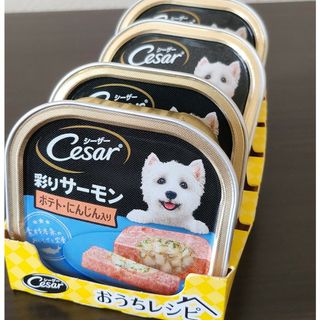 シーザー(CASAR)のマースジャパンリミテッド ＣＥ３６Ｎ　サーモン風味ポテトとにんじん　１００ｇ(犬)