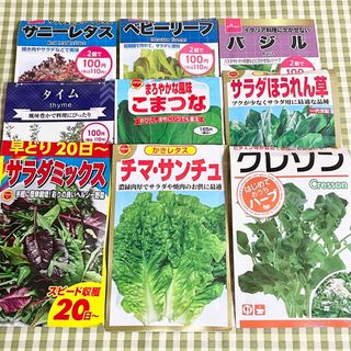 野菜の種 お裾分け 12種類 各20粒＋α(野菜)