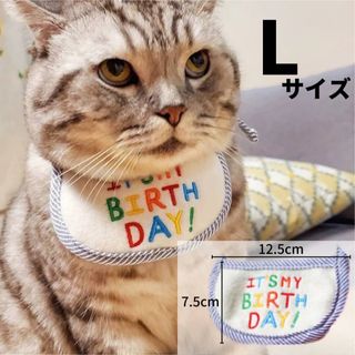 ペット バースデー スタイ L ブルー  誕生日 犬用 猫用 わんこ にゃんこ(猫)