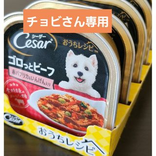 シーザー(CASAR)のマースジャパンリミテッド ＣＥＨ１　ゴロっとビーフ赤パプリカ　１００ｇ(犬)