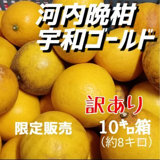 愛媛県産★農家直送★河内晩柑 訳あり 10㌔箱(フルーツ)