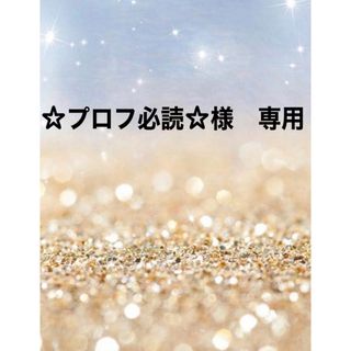 ☆プロフ必読☆様　専用(その他)