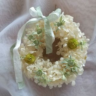 紫陽花のmilkygreenドライフラワーリース(ドライフラワー)