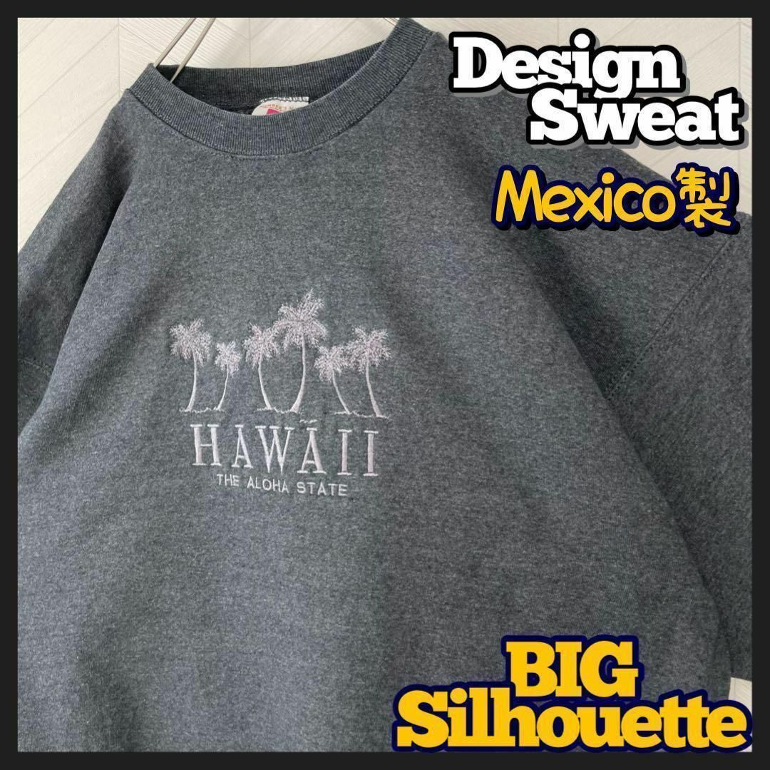 メキシコ製 オーバーサイズ スウェット 刺繍ロゴ ハワイ トレーナー 太アーム メンズのトップス(スウェット)の商品写真