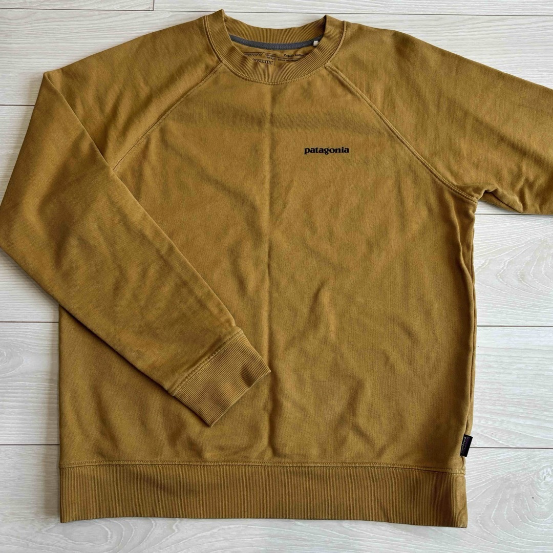 patagonia(パタゴニア)のパタゴニア　M メンズのトップス(シャツ)の商品写真