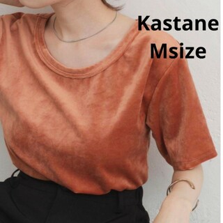 カスタネ(Kastane)のKastane☆ベロアTシャツ Mサイズ(Tシャツ(半袖/袖なし))