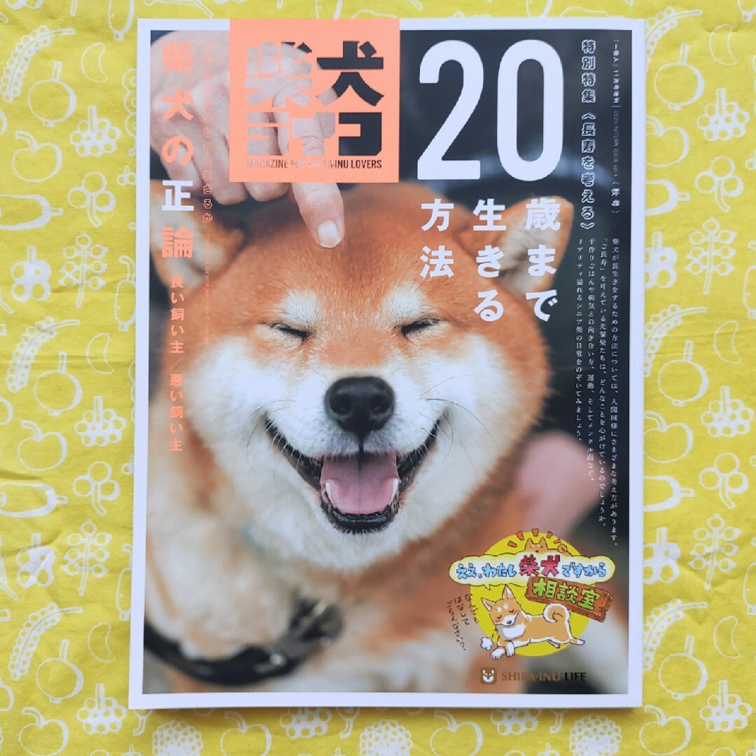 一個人別冊 柴犬ライフ VOL.4 2020年 11月号 [雑誌] エンタメ/ホビーの雑誌(ニュース/総合)の商品写真