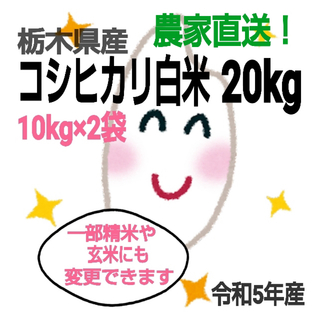 【令和5年 新米 栃木県産コシヒカリ 20kg(10kg×2袋)☆白米】(米/穀物)