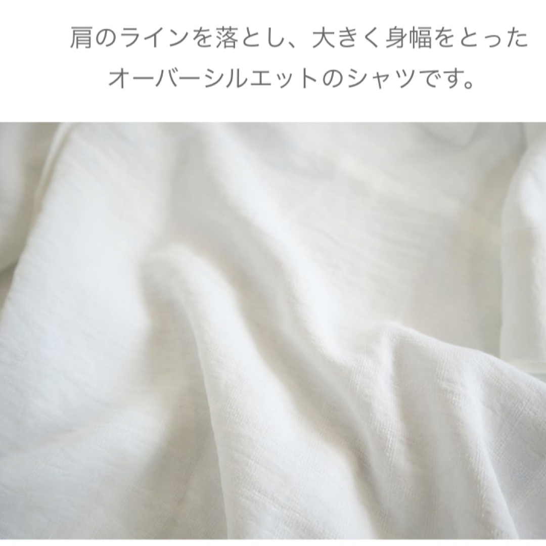 しまむら(シマムラ)のしまむら　テラさんシャツ レディースのトップス(シャツ/ブラウス(半袖/袖なし))の商品写真