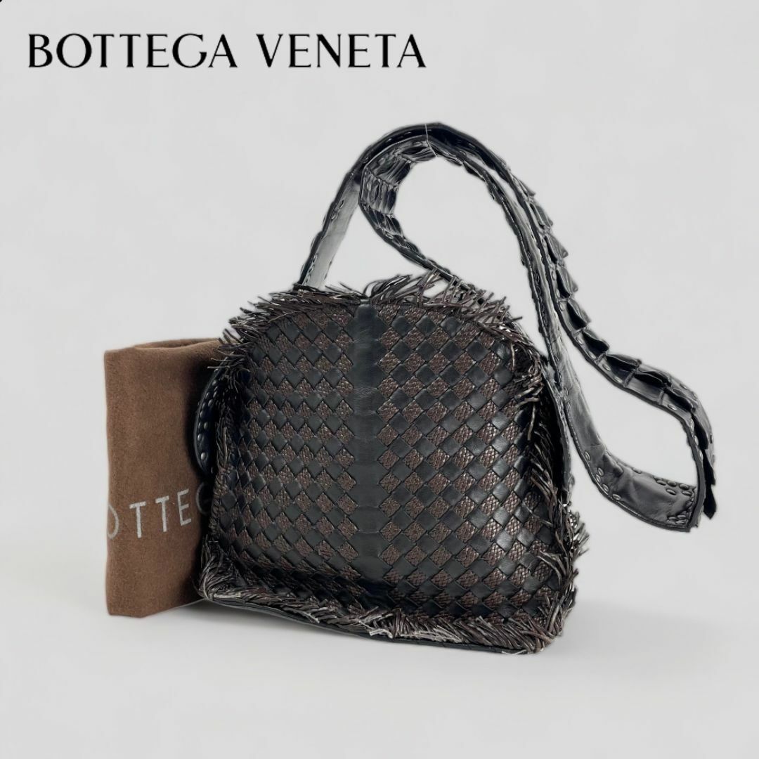 Bottega Veneta(ボッテガヴェネタ)の未使用■BOTTEGA VENETA■ 限定50個 カイマン ショルダーバッグ レディースのバッグ(ショルダーバッグ)の商品写真