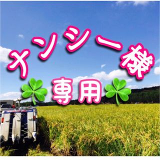 ナンシー様✨専用　令和5年兵庫県産ヒノヒカリ20kg送料•精米無料•時間指定🆗(米/穀物)