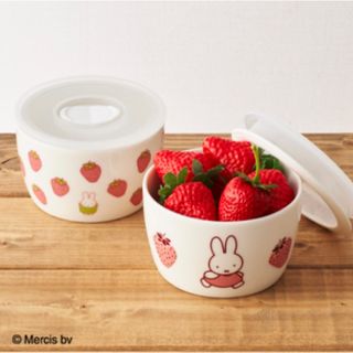 ミッフィー(miffy)のミッフィー フードストッカー 保存容器 タッパー 食器 新品未使用未開封品(容器)