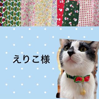 猫首輪  すいかリボン ＋セーフティバックル  ⑩-RB9-3(リード/首輪)