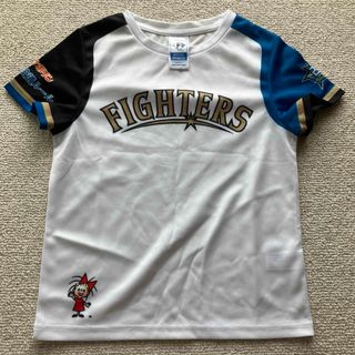 ファイターズ　応援Tシャツ　キッズ130(応援グッズ)