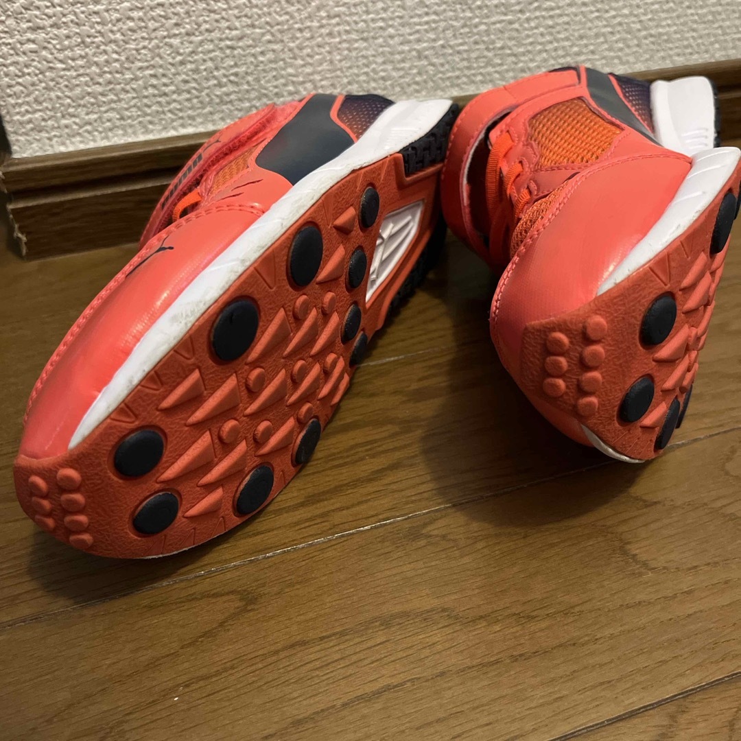 PUMA(プーマ)のPUMA 23.5cm キッズ/ベビー/マタニティのキッズ靴/シューズ(15cm~)(スニーカー)の商品写真