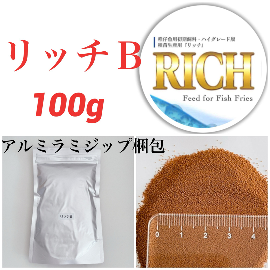 リッチB 100g メダカ エサ その他のペット用品(アクアリウム)の商品写真