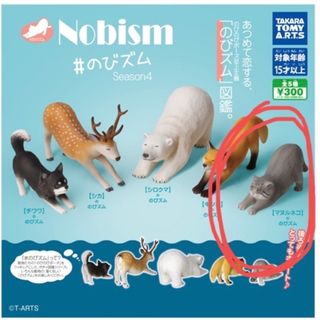 のびズム　（マヌルネコののびズム）