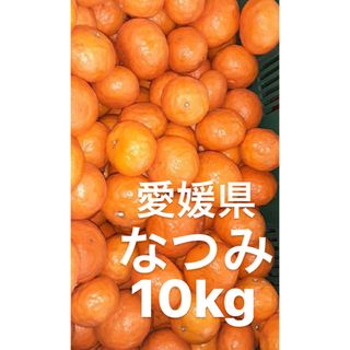 愛媛県産　なつみ　柑橘　10kg(フルーツ)