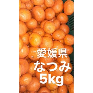 愛媛県産　なつみ　柑橘　5kg(フルーツ)