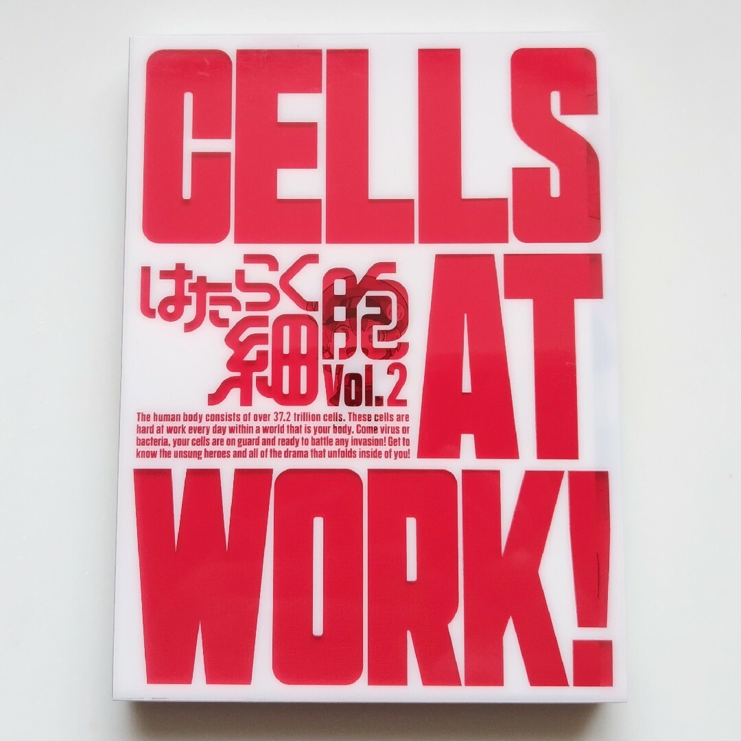 【CELLS AT WORK vo.2   DVD】 エンタメ/ホビーのDVD/ブルーレイ(アニメ)の商品写真