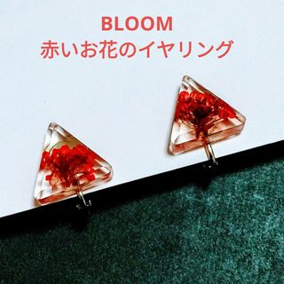 ブルーム(BLOOM)のBLOOM★お花入りのイヤリング(イヤリング)