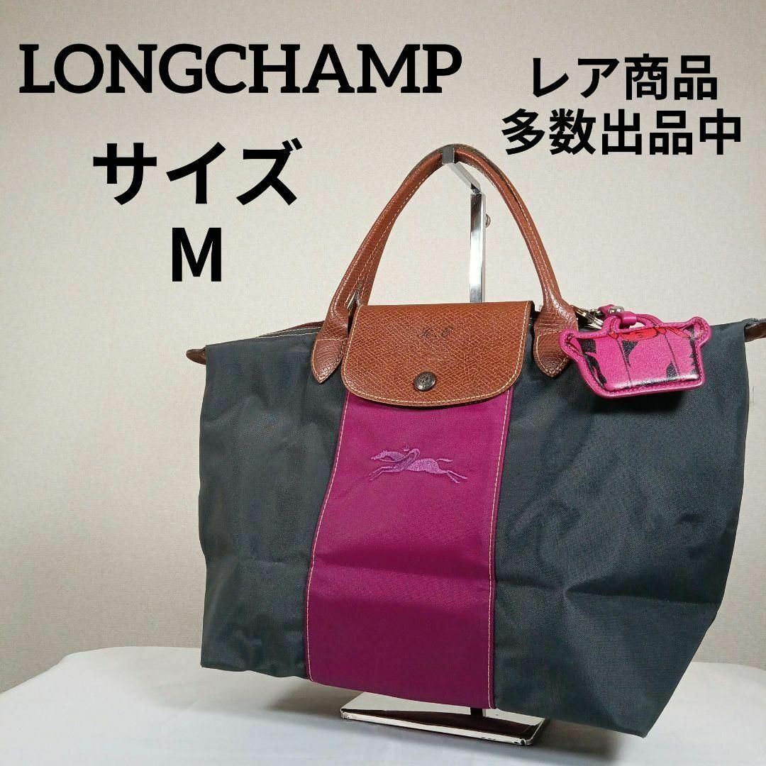 LONGCHAMP(ロンシャン)のH5美品　ロンシャン　プリアージュ　ハンドバッグ　Мサイズ　チャーム付き レディースのバッグ(ハンドバッグ)の商品写真