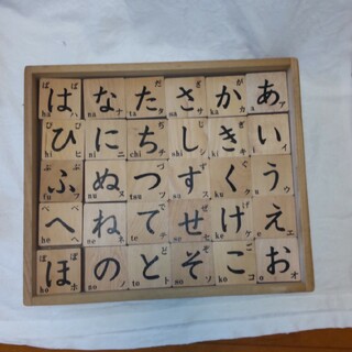 KAWAI 木製パズル　パズルブロック(知育玩具)