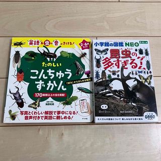 たのしいこんちゅうずかん　昆虫多すぎるゲーム　まとめ売り(絵本/児童書)