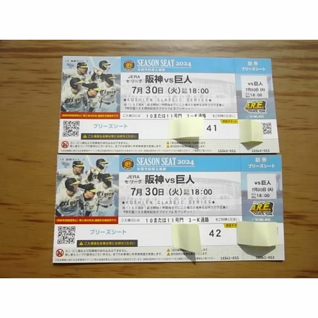 阪神タイガース(ハンシンタイガース)の7月30日（火）阪神 vs 巨人　ブリーズシート2連番【通路側】 チケットのスポーツ(野球)の商品写真