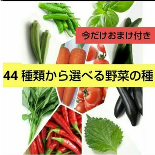 44種類から選べる野菜の種セット(その他)