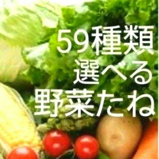 野菜種　59種類から選べる(その他)