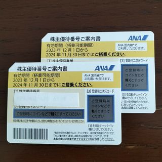 エーエヌエー(ゼンニッポンクウユ)(ANA(全日本空輸))のANA株主優待券 2枚(その他)