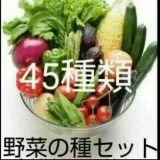 45種類 野菜　種　セット(その他)