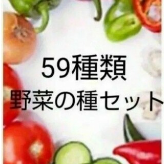 59種類 野菜 種(その他)