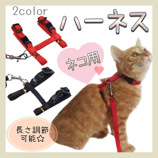 【新品】 猫用 リード ペット ハーネス 首輪 お散歩 愛猫(猫)