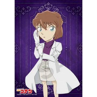 【灰原哀(A)】 名探偵コナン ブロマイドコレクション Vol.11(その他)