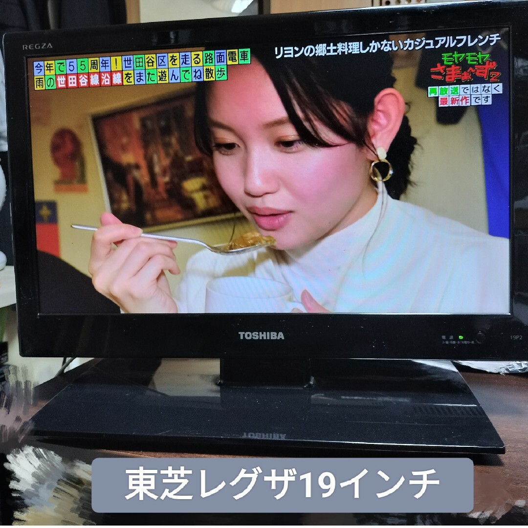 東芝(トウシバ)のTOSHIBA REGZA 19インチ、電池パック付 スマホ/家電/カメラのテレビ/映像機器(テレビ)の商品写真