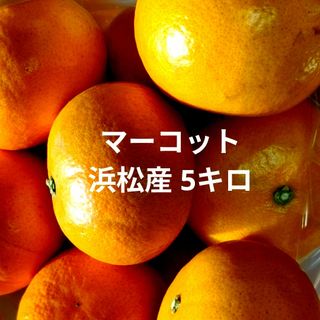 マーコット 浜松産 5㌔(フルーツ)