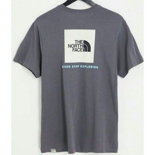 THE NORTH FACE - ノースフェイス　レッドボックス　バックプリント　Ｔシャツ　LL  XL　グレー