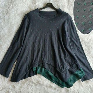 センソユニコ(Sensounico)の慈雨 アシンメトリー 変形カットソー ドット柄 ストライプ 刺繍 フレア 40(カットソー(長袖/七分))