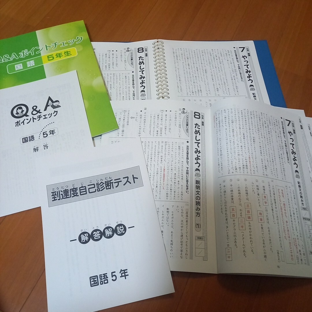 小学生　算数DVD&国語　5年生　教材&問題集 エンタメ/ホビーの本(語学/参考書)の商品写真